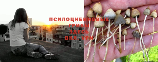 эйфоретик Абдулино