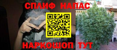 PSILOCYBIN Обь