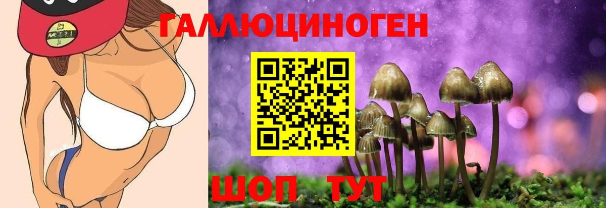 Сызрань  Псилоцибиновые грибы прущие грибы  купить закладку  Вход с VPN 